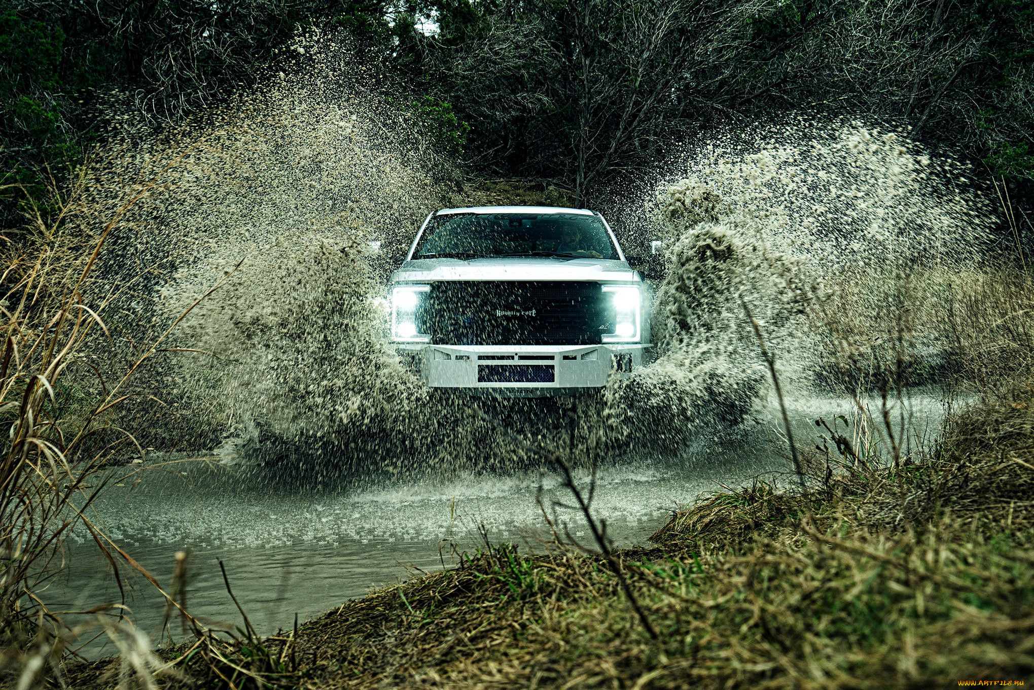 2017-ford-f350-legacy, автомобили, custom, pick-up, ford