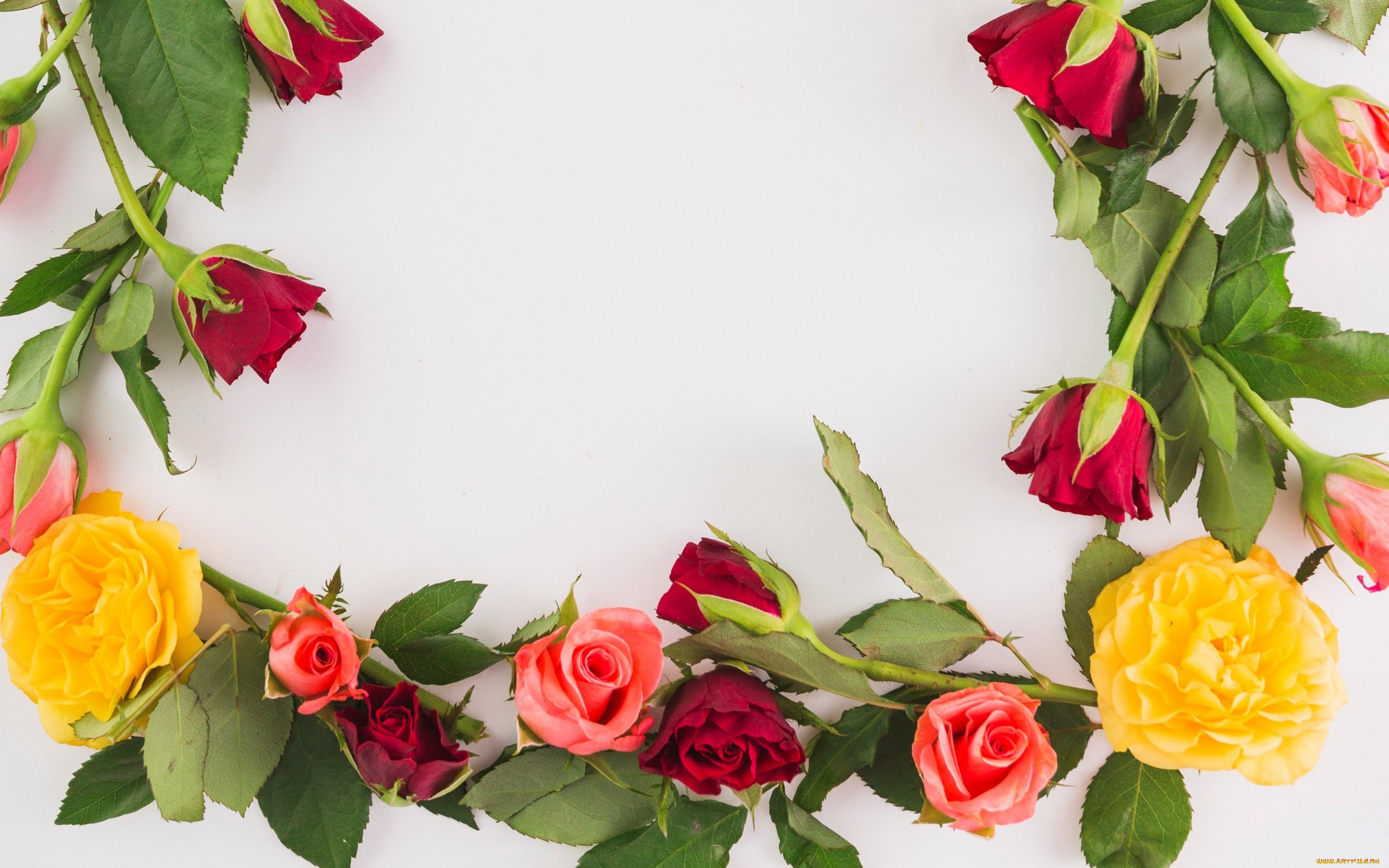 цветы, розы, бутоны, beautiful, розовые, colorful, roses, pink, листья, bud, flowers