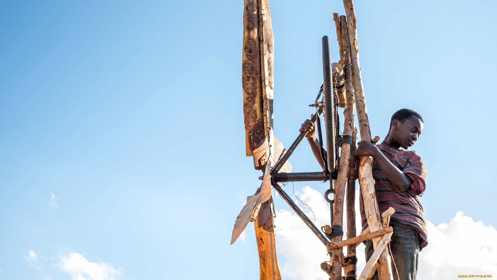 кино, фильмы, the, boy, who, harnessed, the, wind, the, boy, who, harnessed, wind