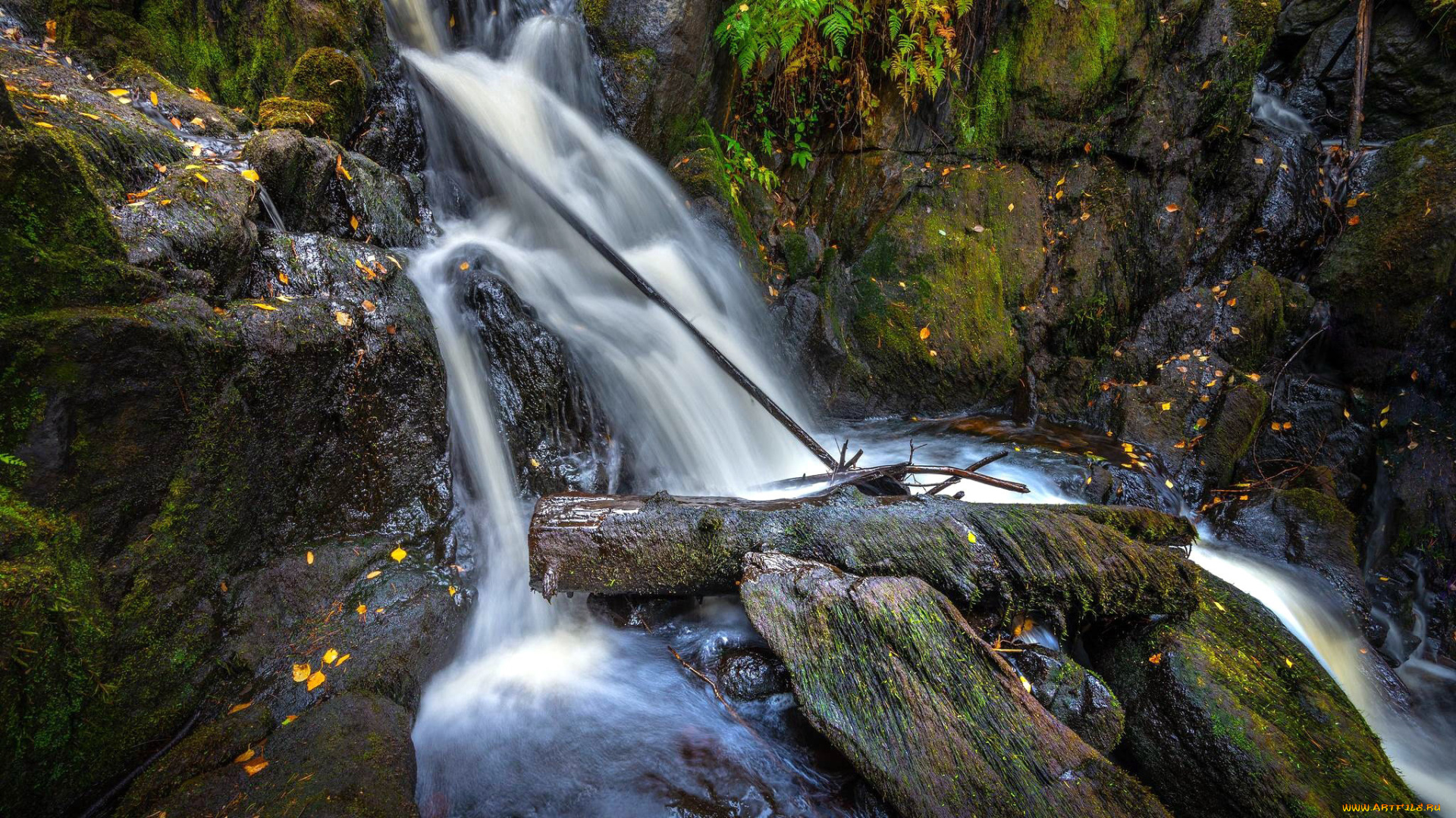 природа, водопады, поток, водопад, вода