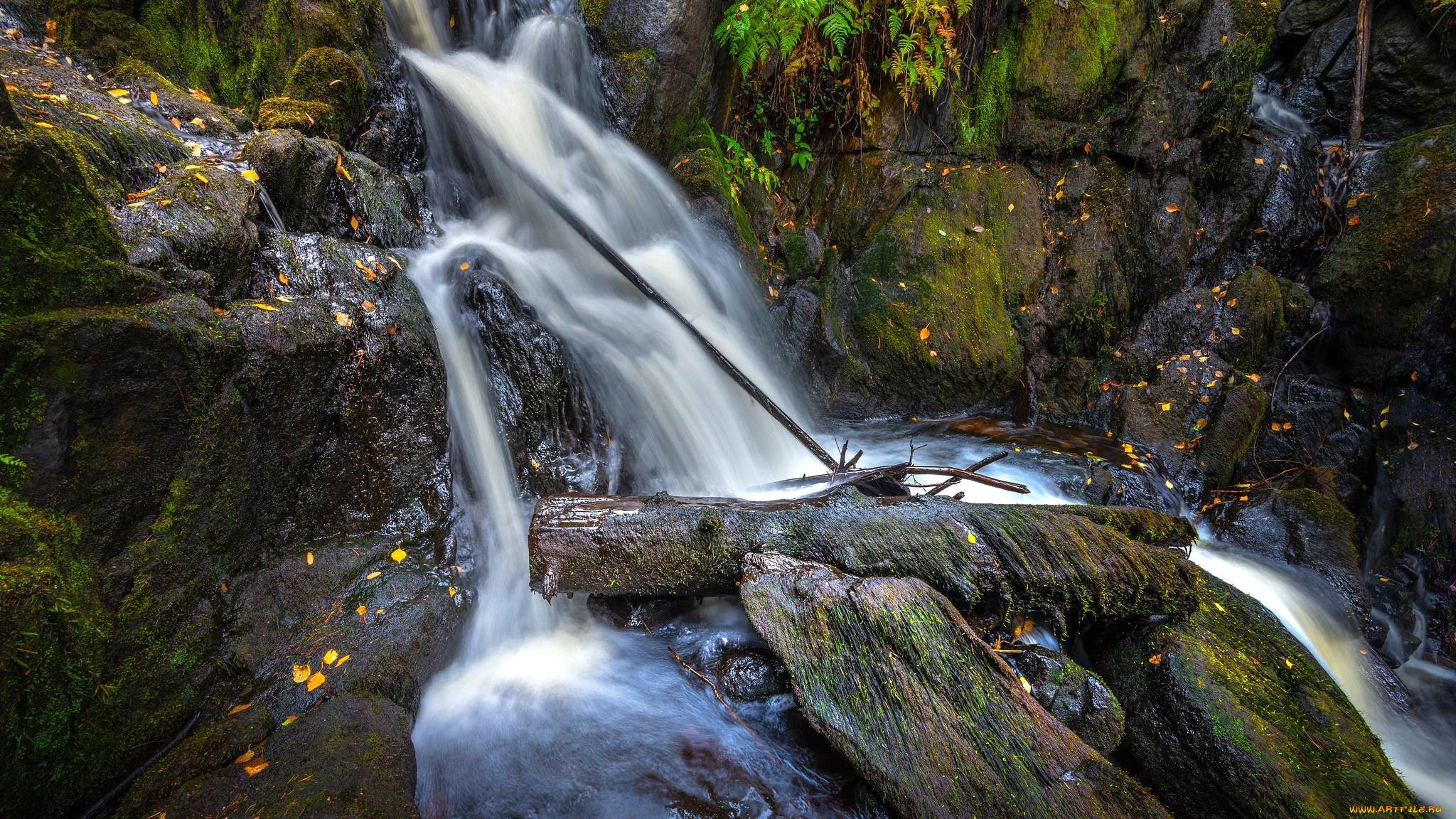 природа, водопады, поток, водопад, вода