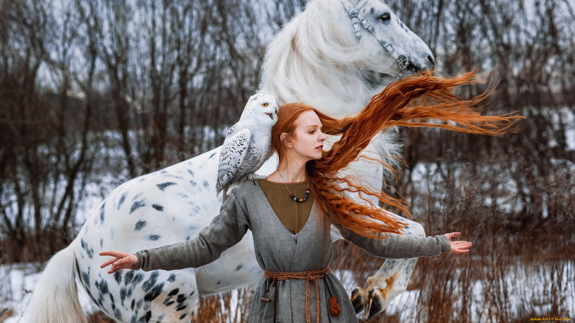 девушки, -, креатив, , косплей, лошадь, сова, рыжеволосая, косплей