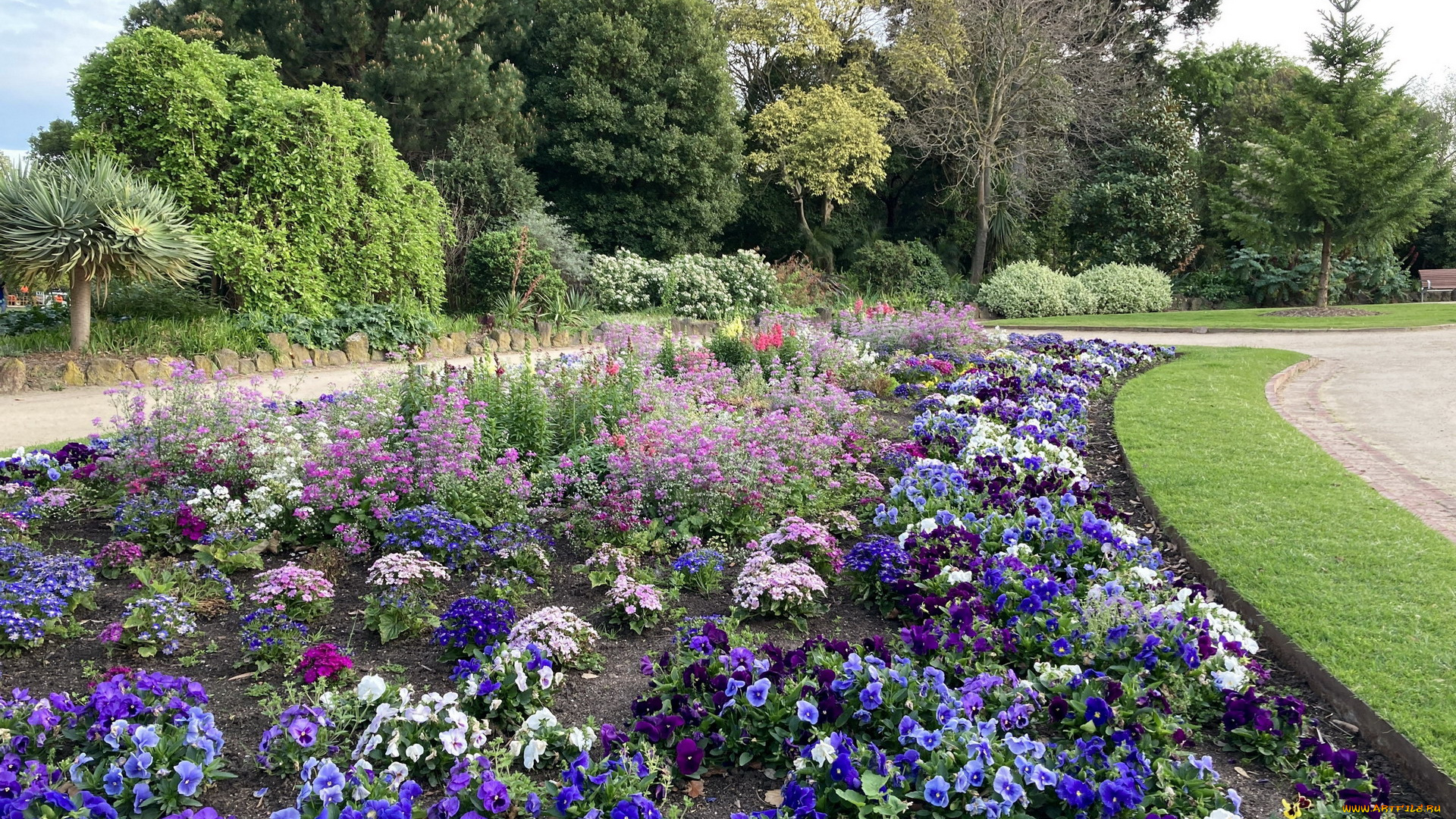 природа, парк, клумба