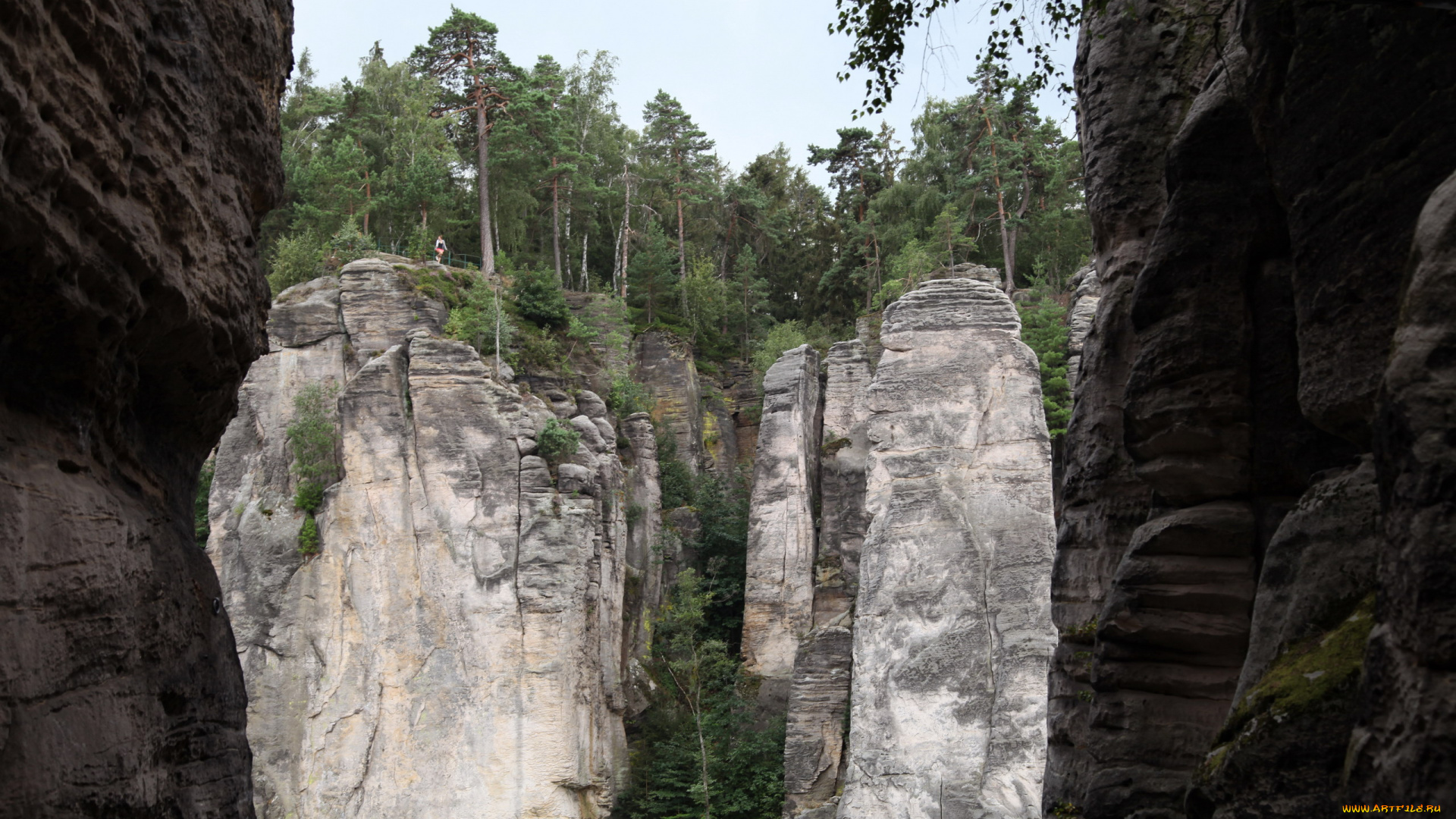 заповедник, чешский, рай, природа, горы, заповедник, чешский, рай