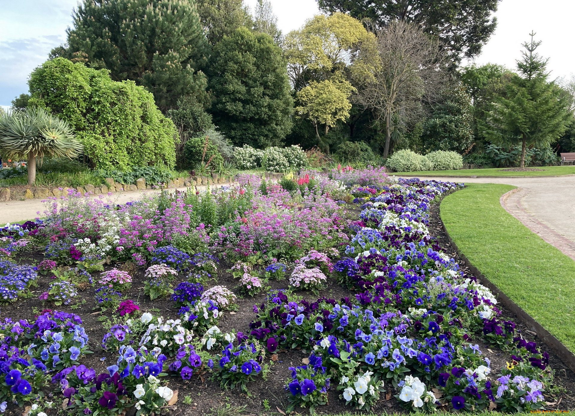 природа, парк, клумба