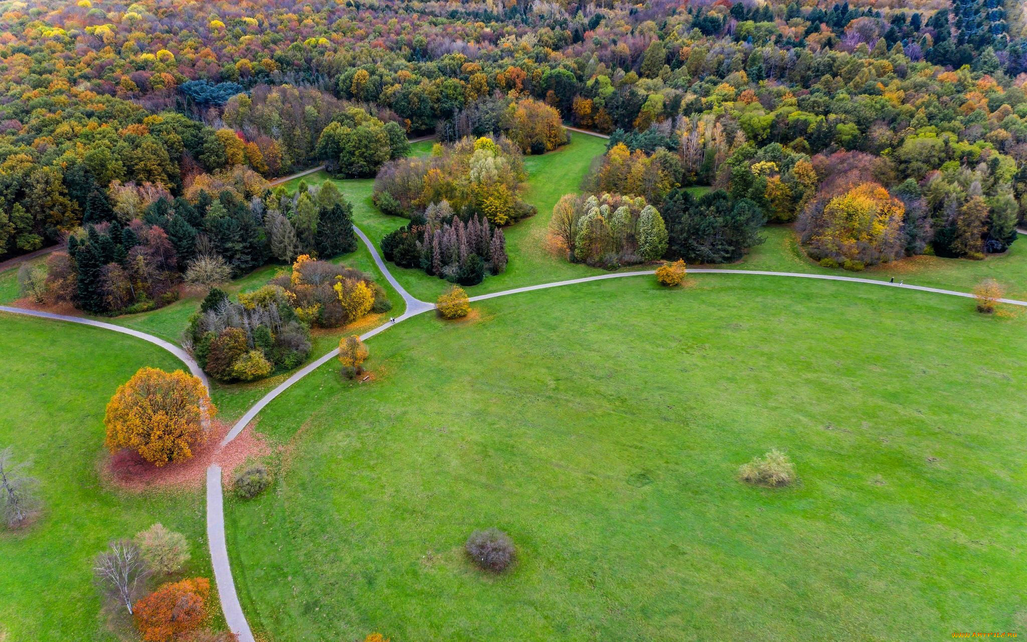 природа, парк, панорама, лужайки
