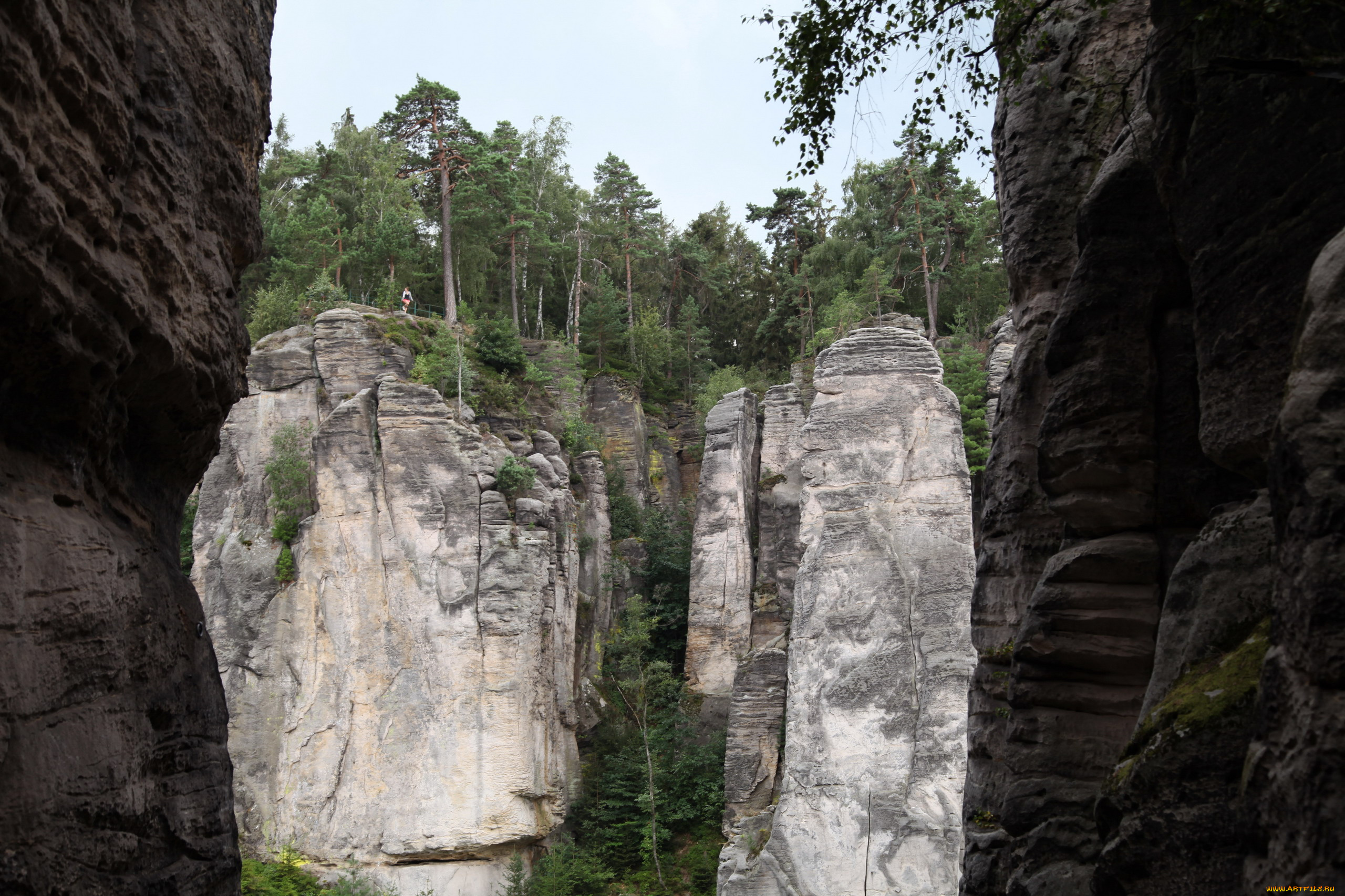 заповедник, чешский, рай, природа, горы, заповедник, чешский, рай