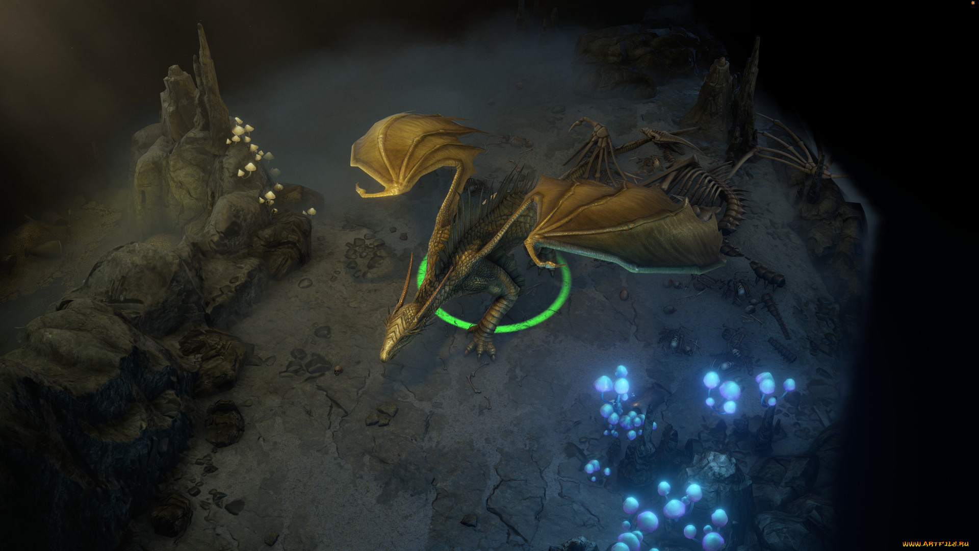 видео, игры, pathfinder, , wrath, of, the, righteous, дракон, пещера