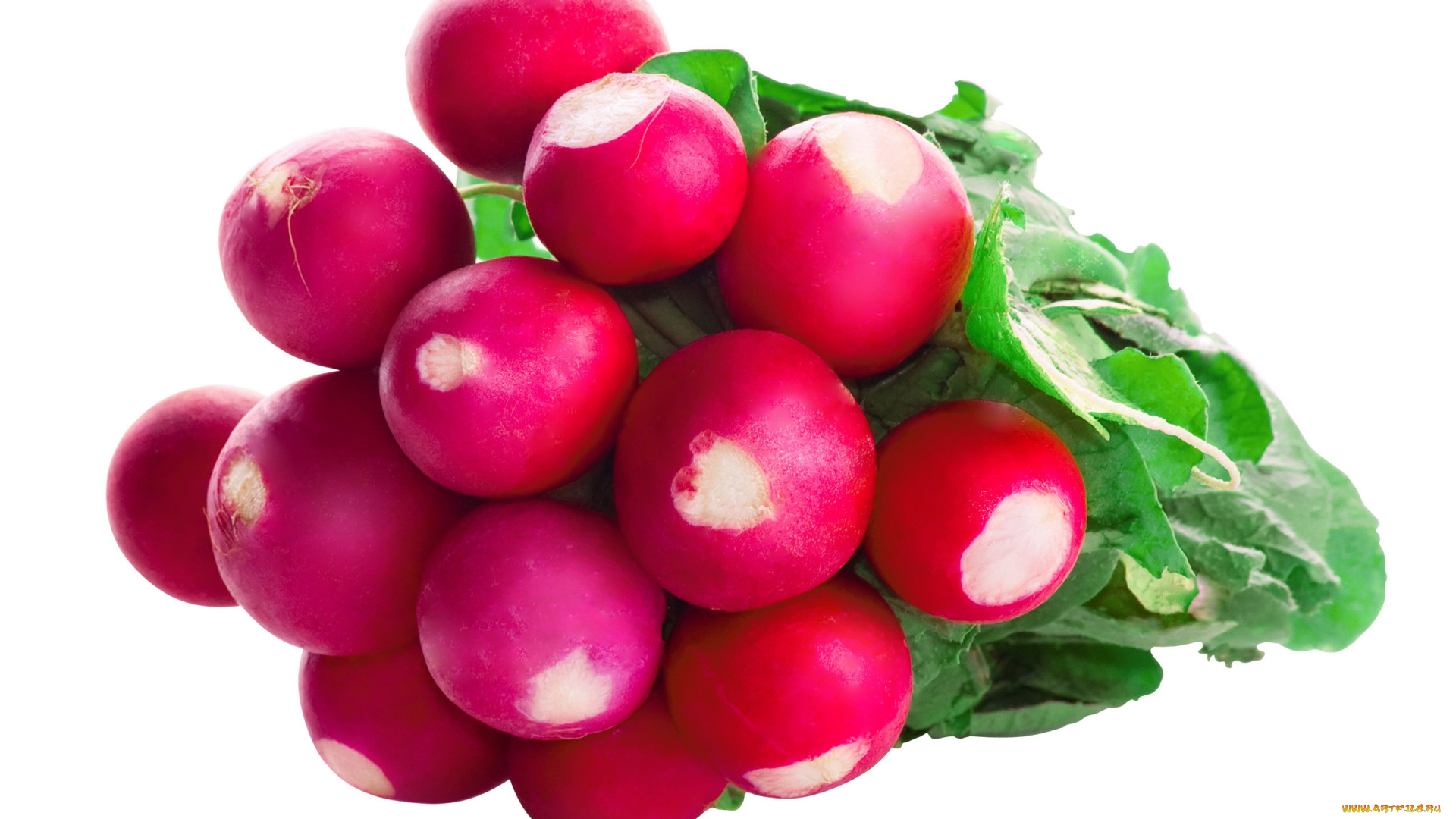 еда, редис, , репа, , редька, красный, пучок, макро