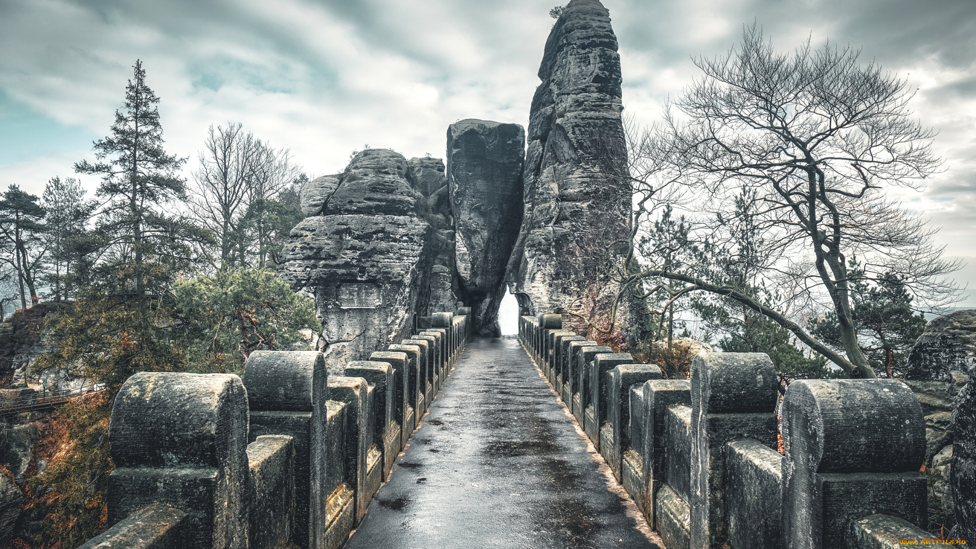города, -, мосты, пейзаж, roman, malik, деревья, мост, национальный, парк, скалы, мокрый, камни, облака, пасмурно, германия, саксонская, швейцария, бастай, саксония