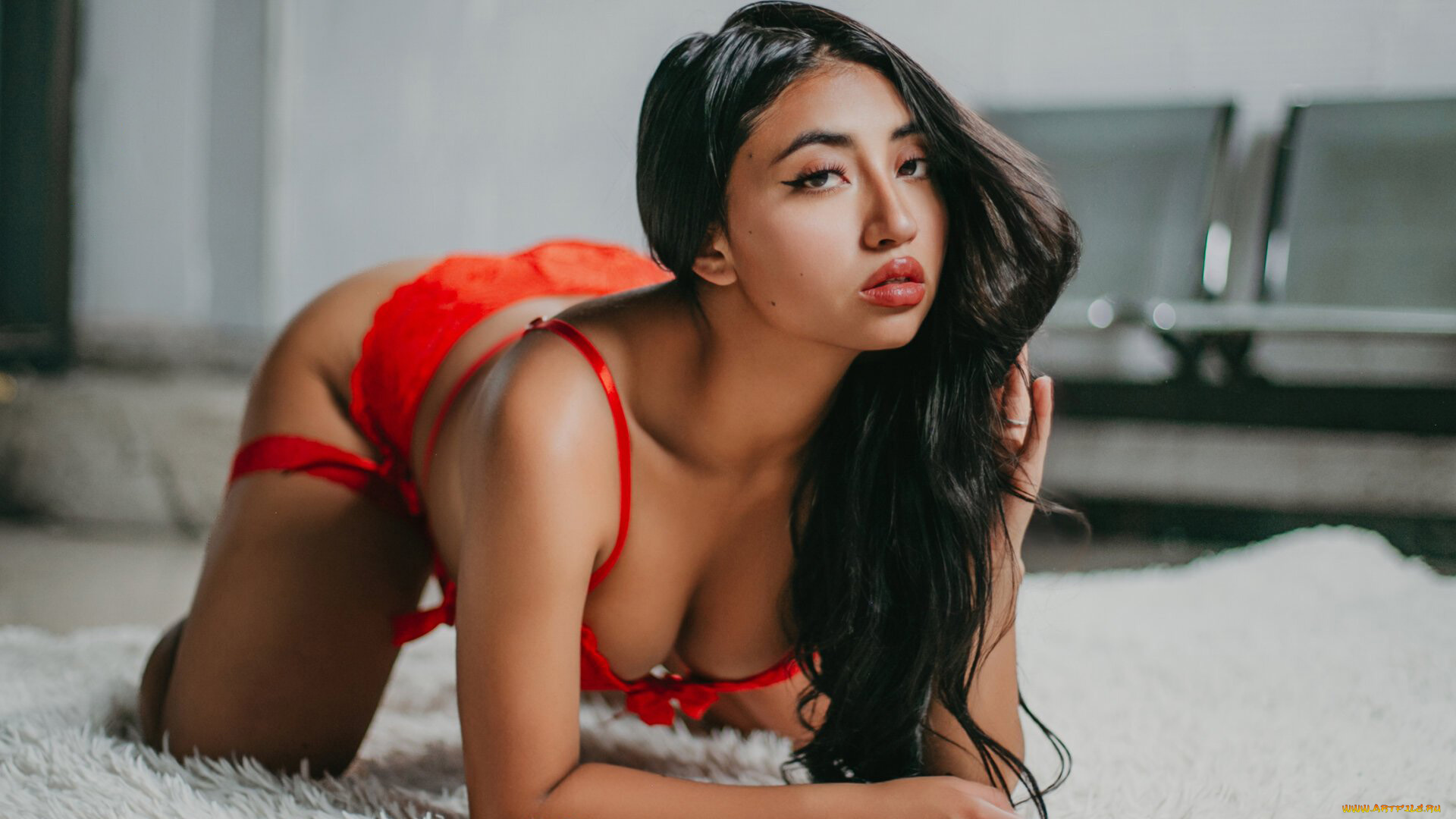 девушки, -, брюнетки, , шатенки, красивая, девушка