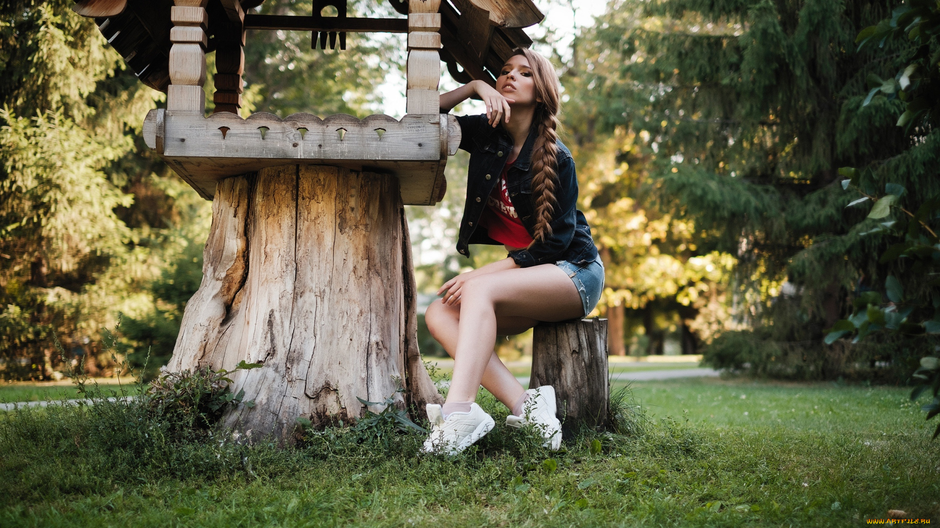 девушки, -, брюнетки, , шатенки, парк, девушка, поза, взгляд, коса, пеньки, кормушка