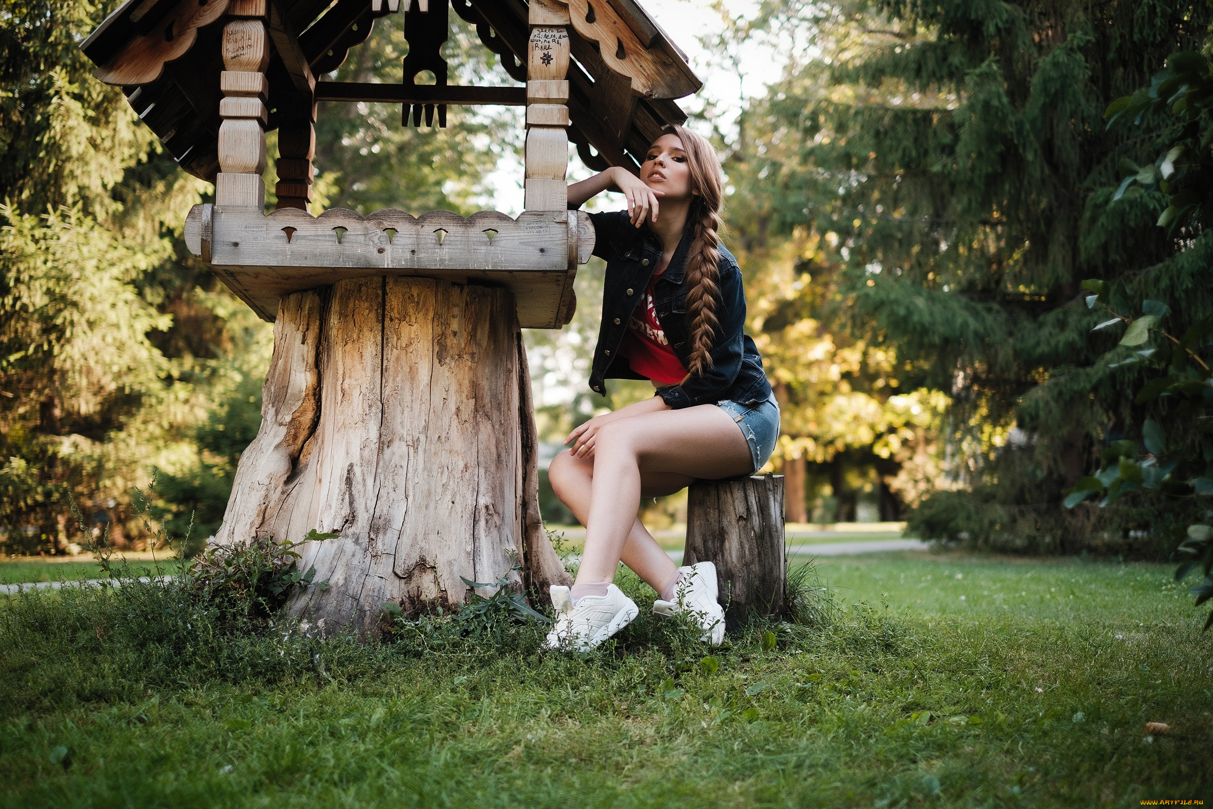 девушки, -, брюнетки, , шатенки, парк, девушка, поза, взгляд, коса, пеньки, кормушка