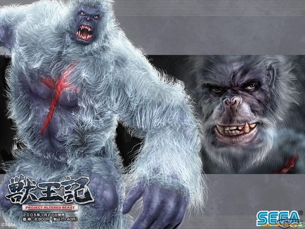 altered, beast, видео, игры