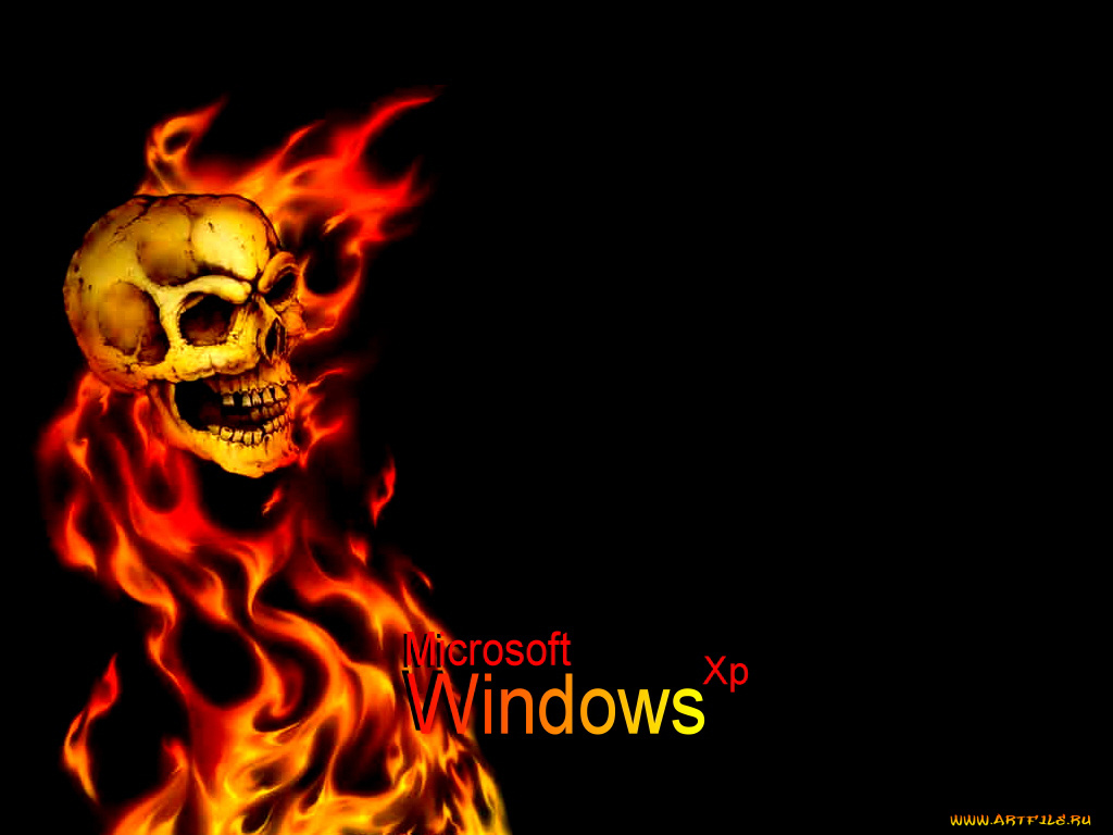 компьютеры, windows, xp