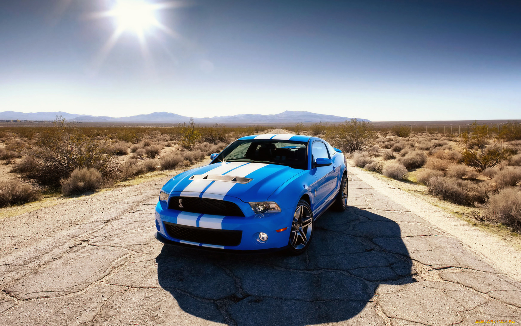 автомобили, mustang