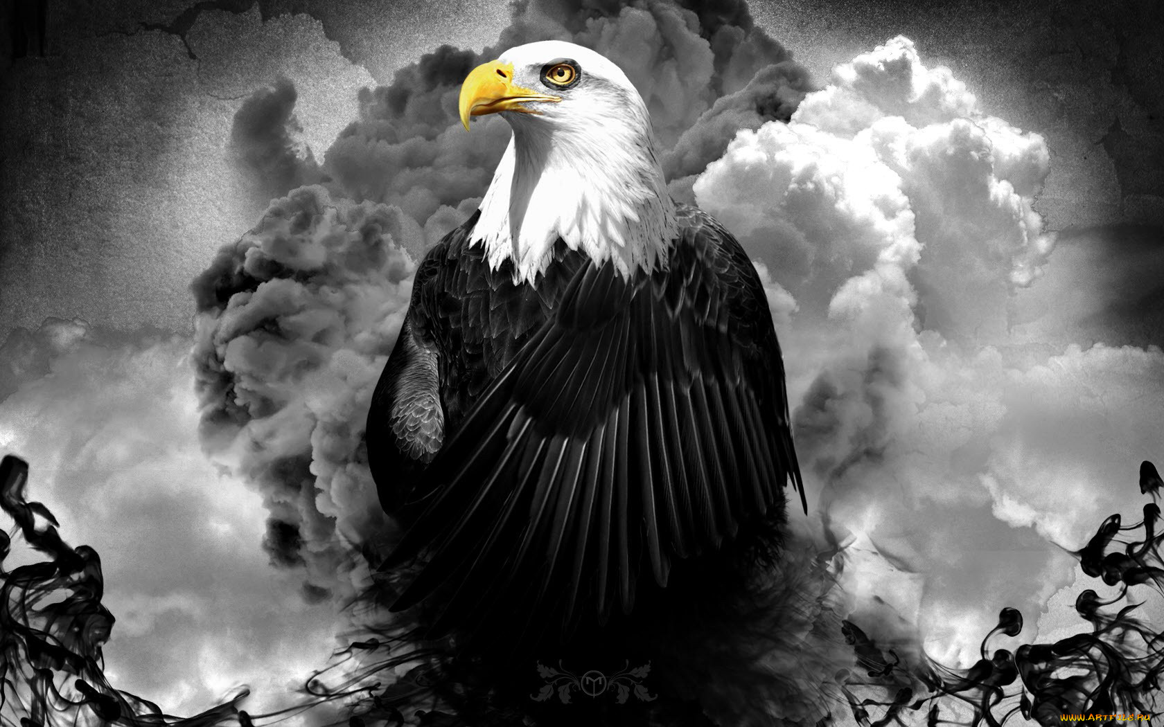 разное, компьютерный, дизайн