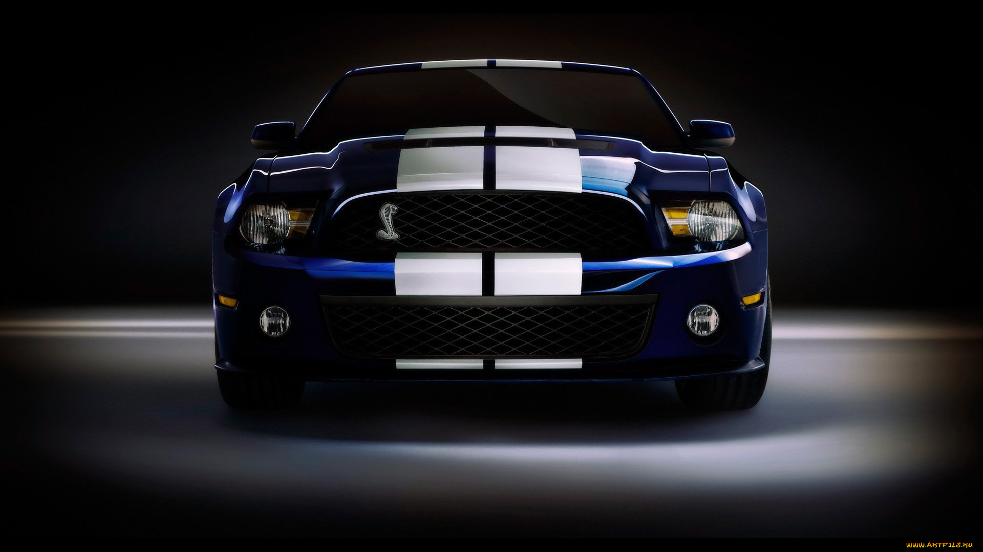 автомобили, mustang