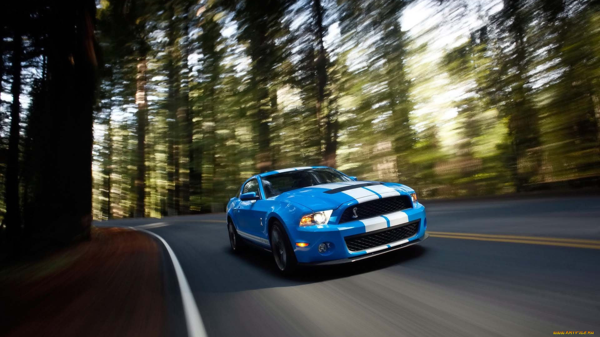 автомобили, mustang