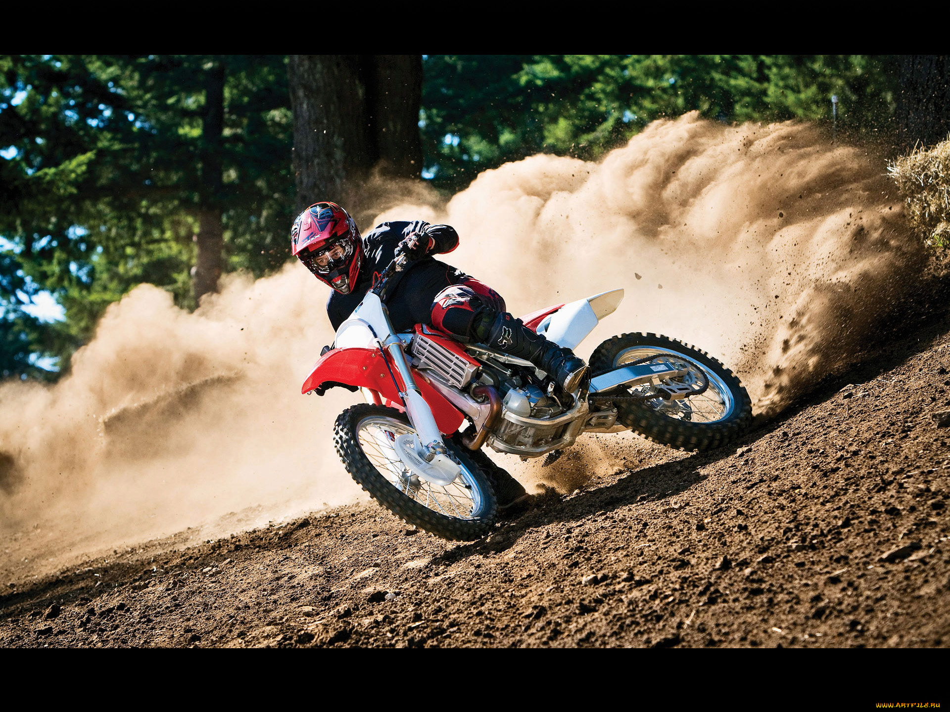 мотоциклы, honda