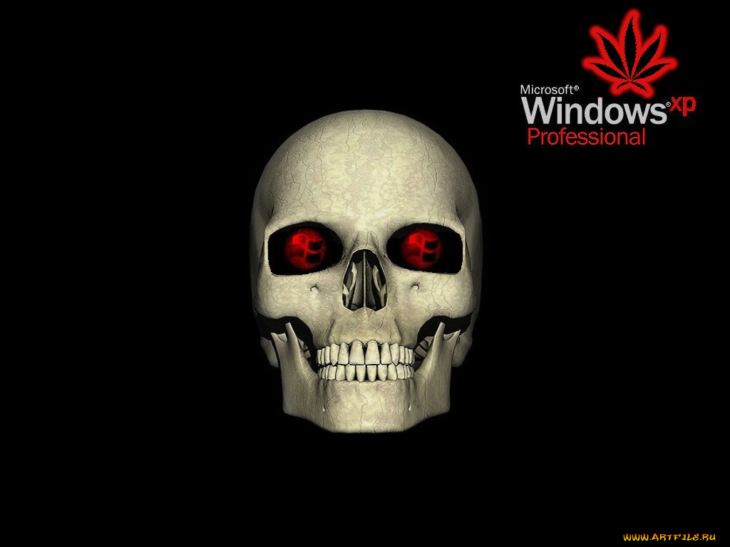 компьютеры, windows, xp