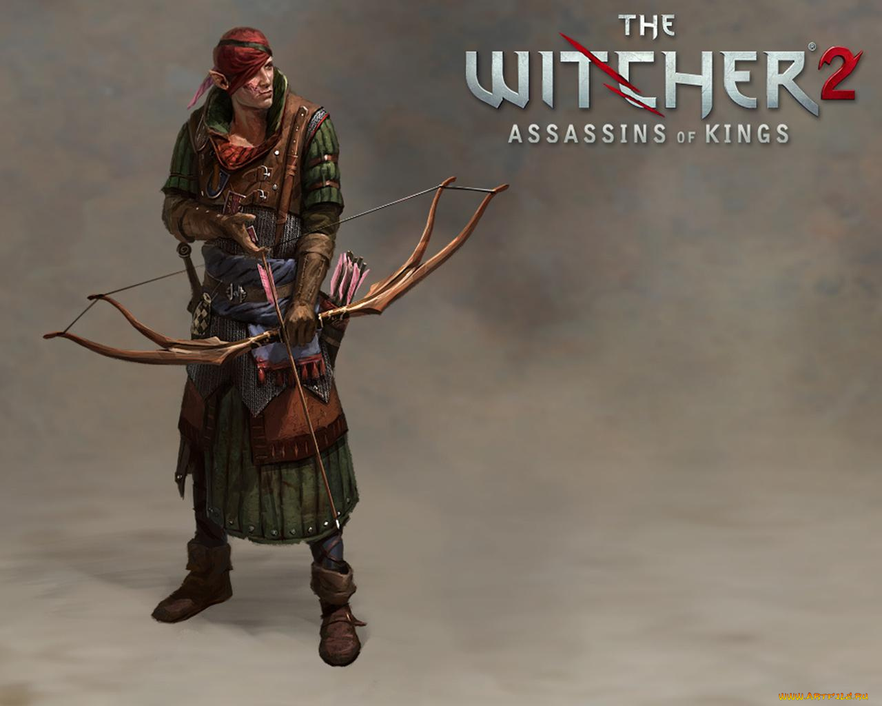 the, witcher, assassins, of, kings, видео, игры