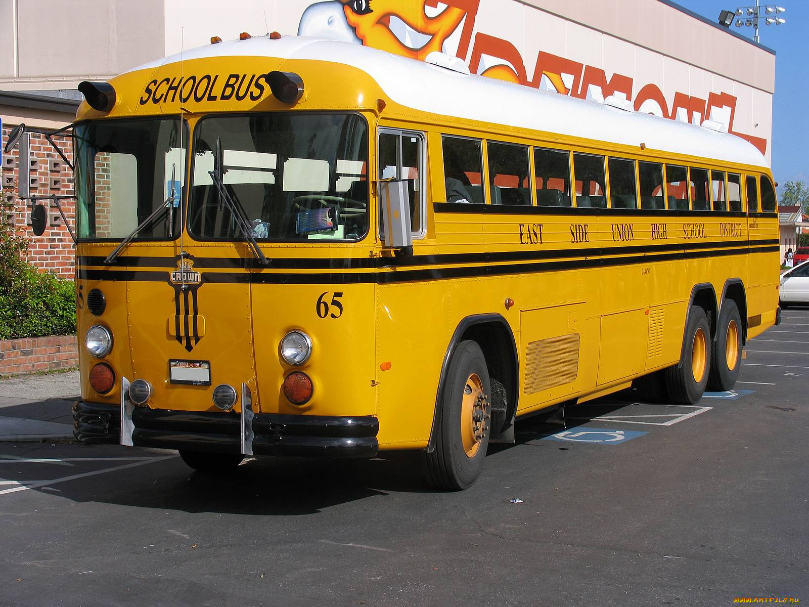 автомобили, автобусы