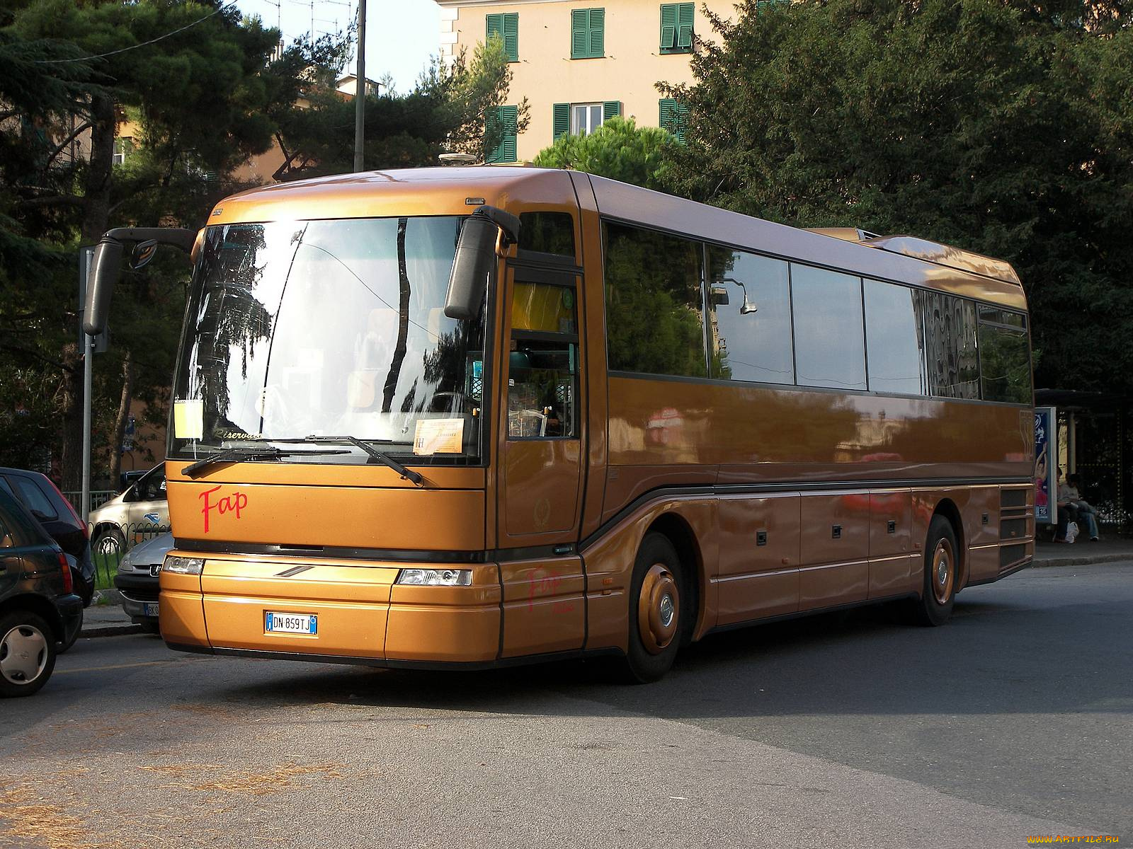 автомобили, автобусы