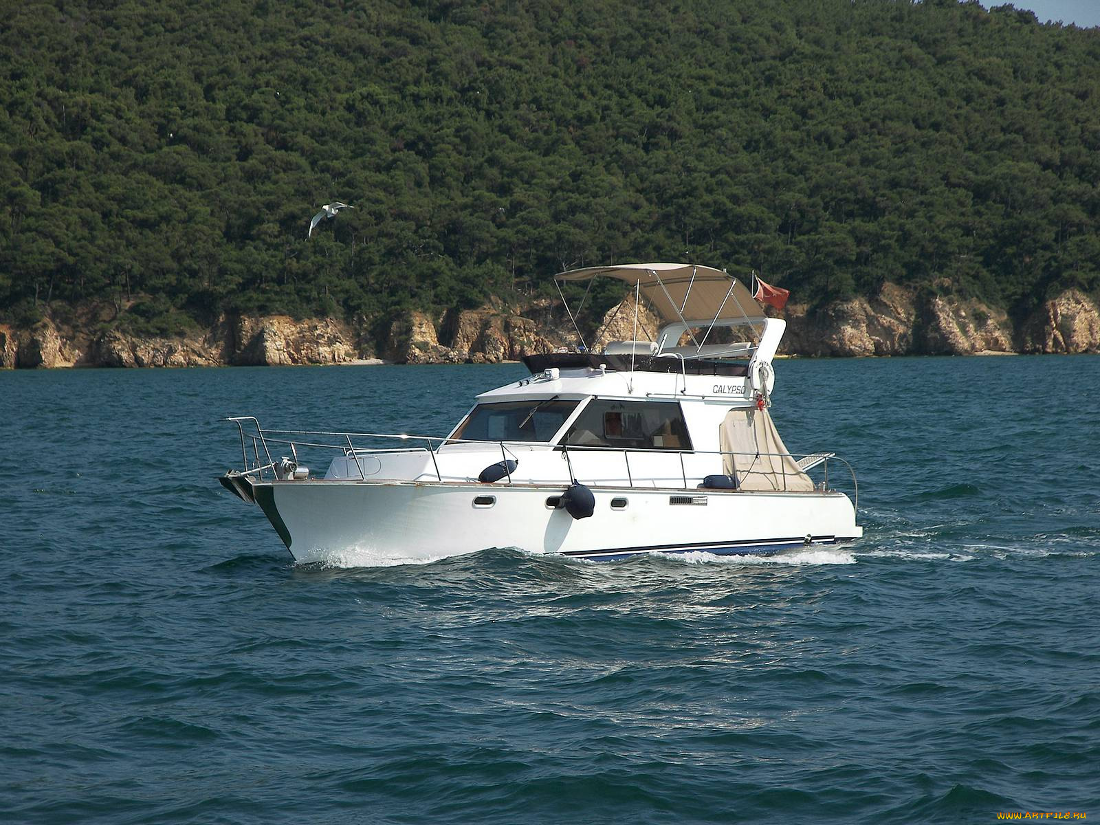 корабли, катера