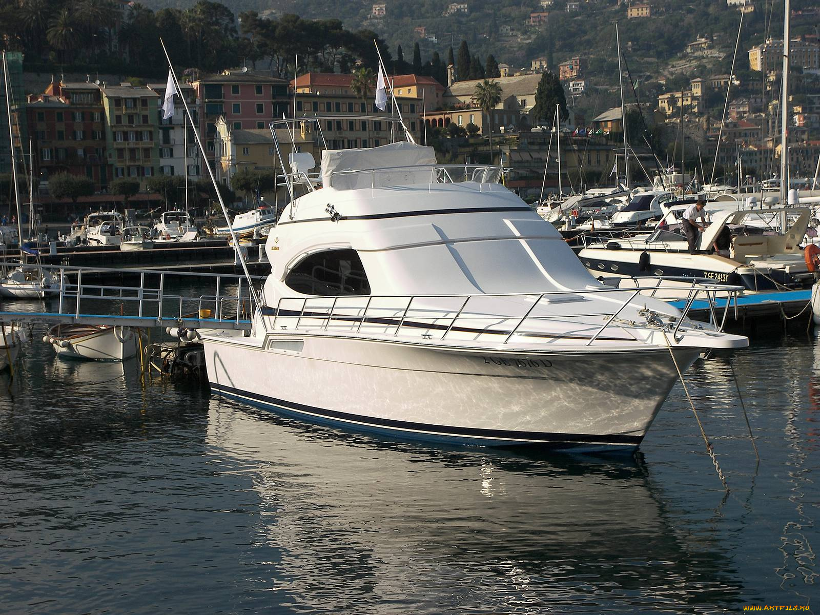 корабли, катера