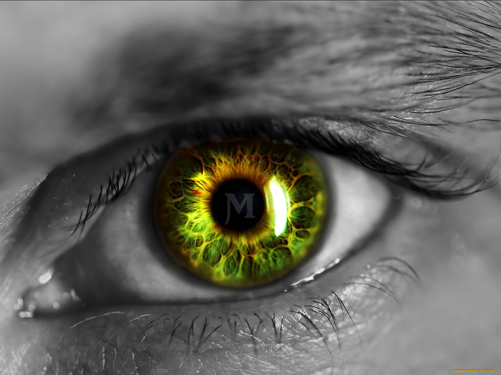 разное, глаза