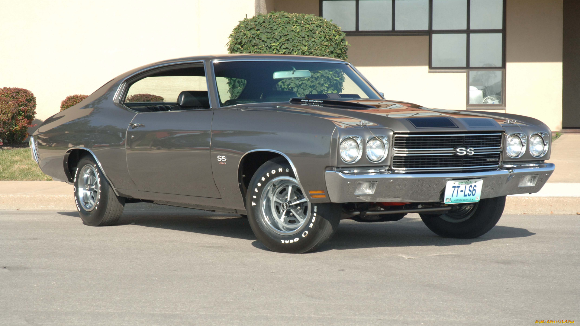 автомобили, chevrolet, много, розовые