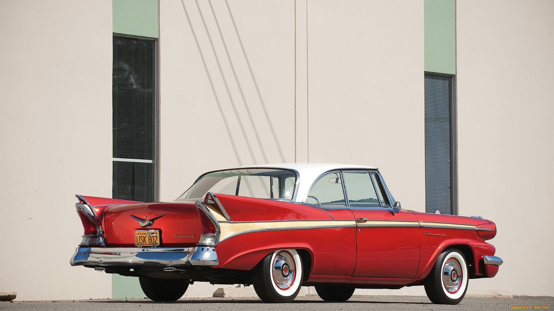 автомобили, packard, джек, рассел, терьер