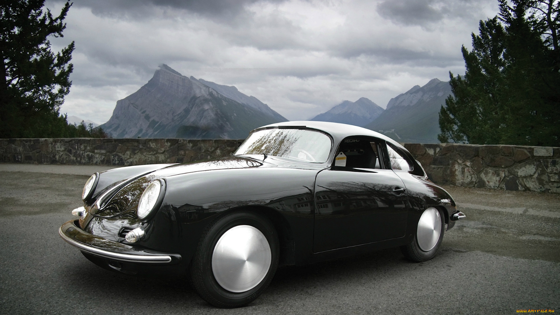 автомобили, porsche, dog, морда