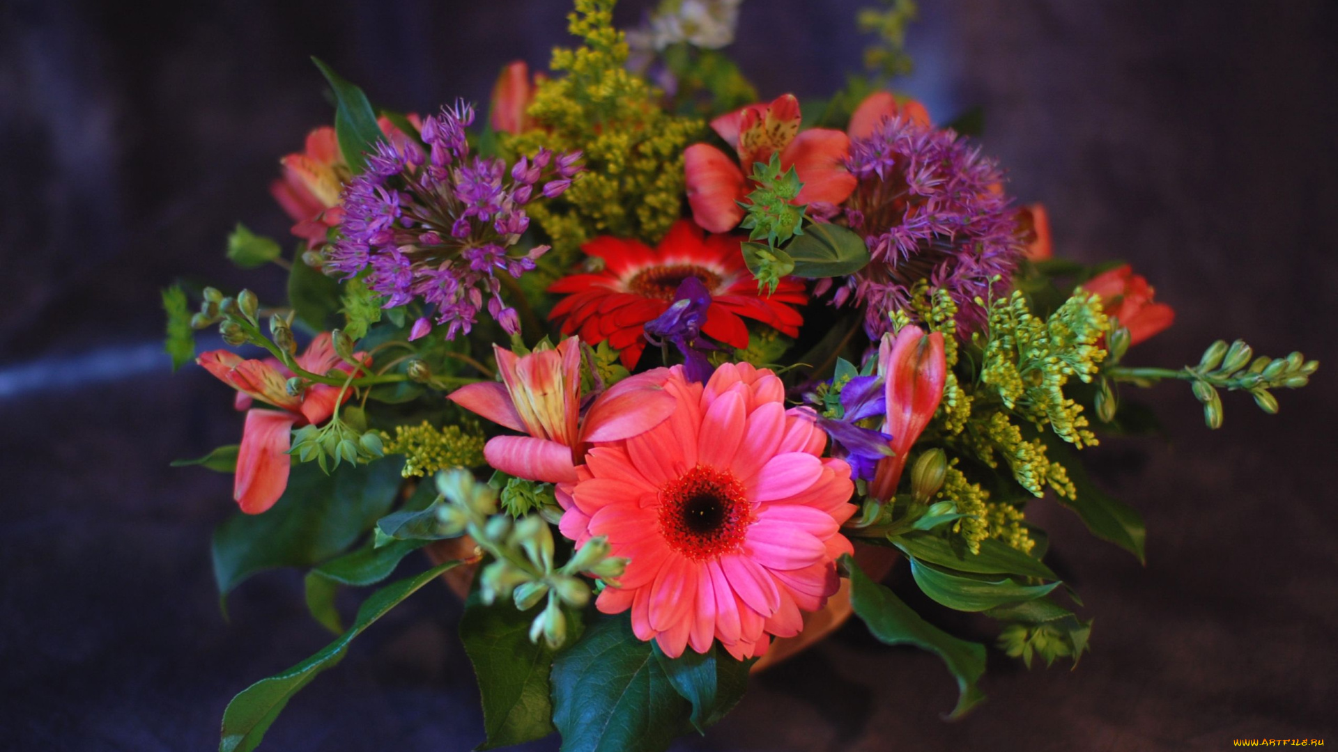 цветы, букеты, композиции, взгляд, девушка, герберы, альстромерия