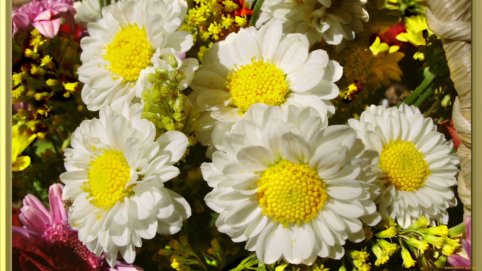 цветы, разные, вместе, белое, платье, белые, желтые
