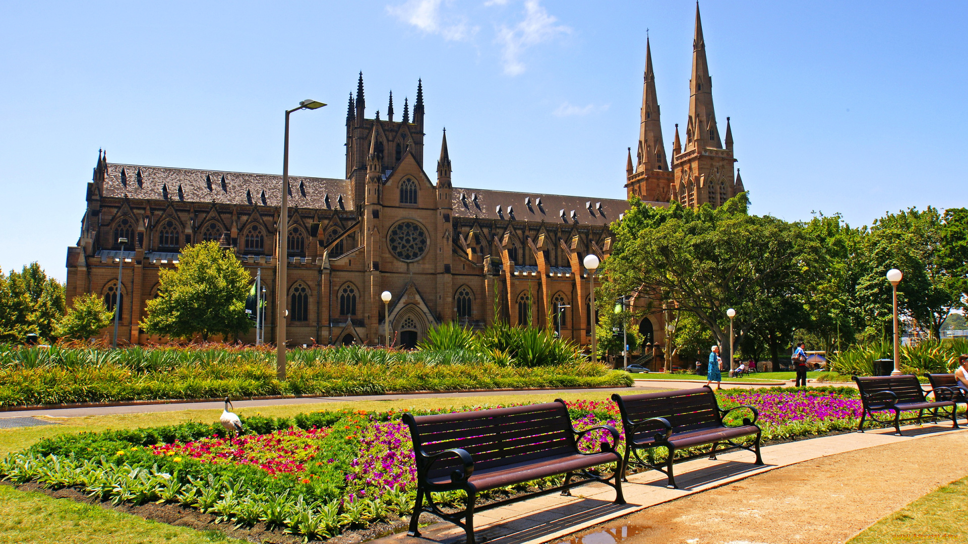 города, сидней, австралия, воздушные, пончики, st, marys, cathedral