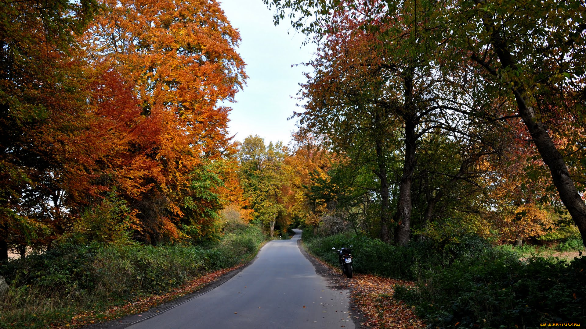 природа, дороги, осень