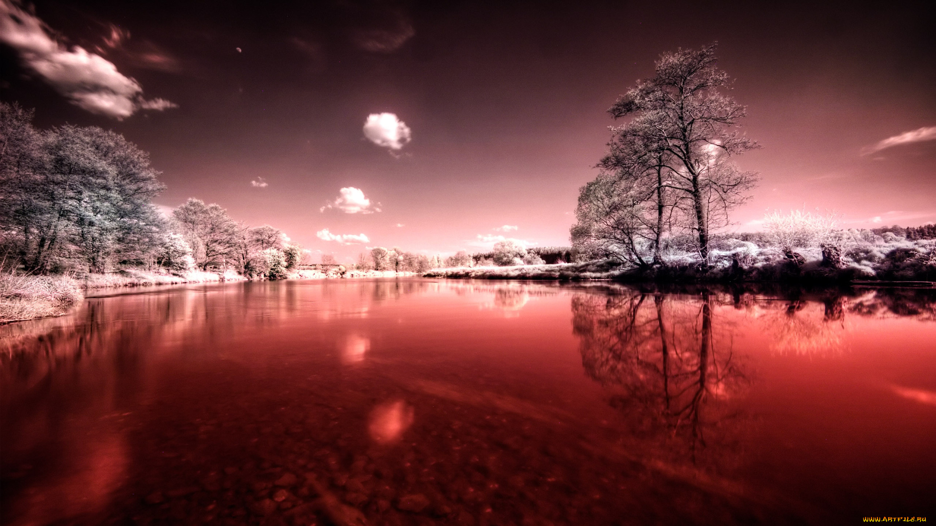 природа, реки, озера, река, деревья