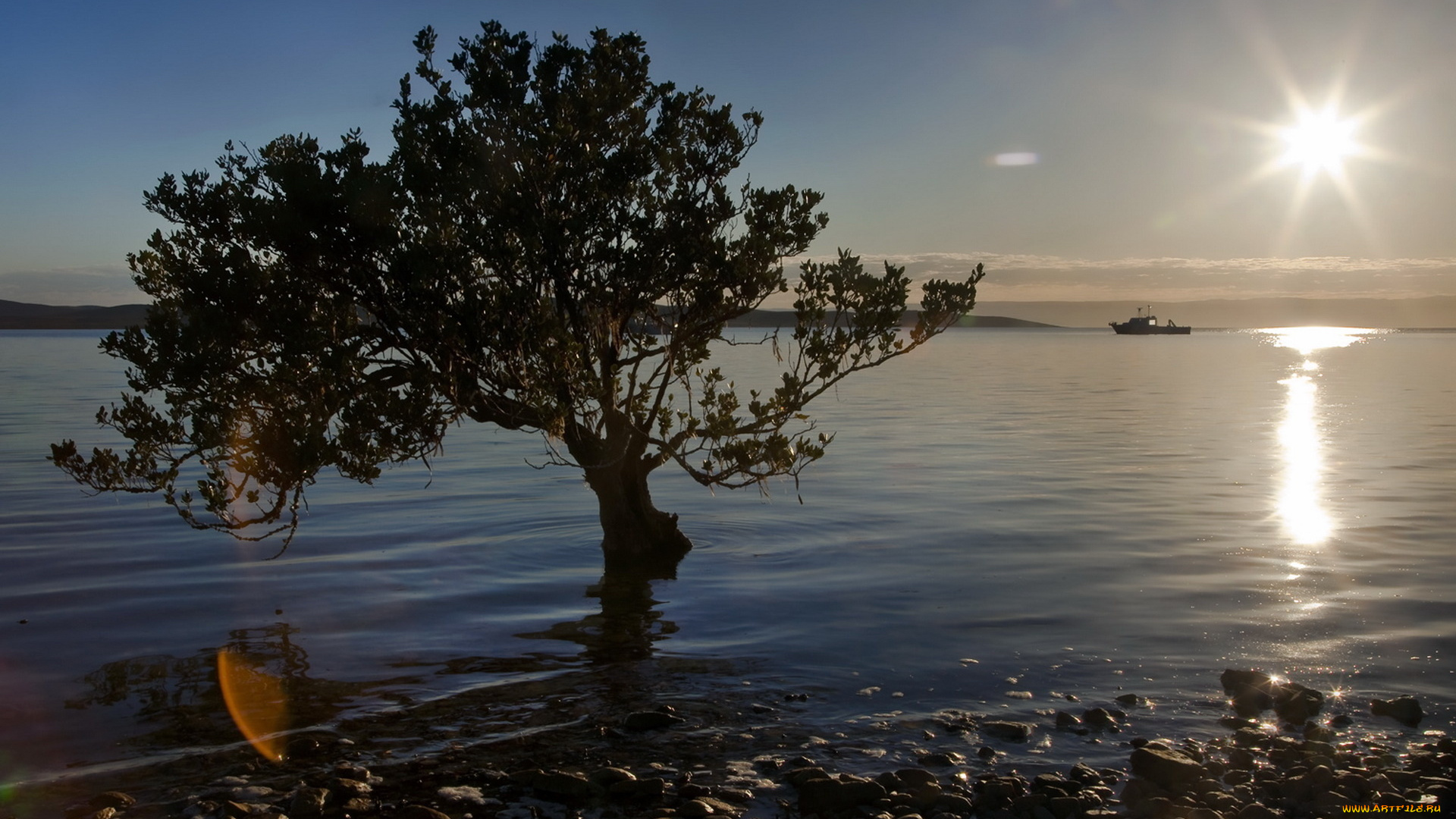 природа, восходы, закаты, дерево, озеро, закат
