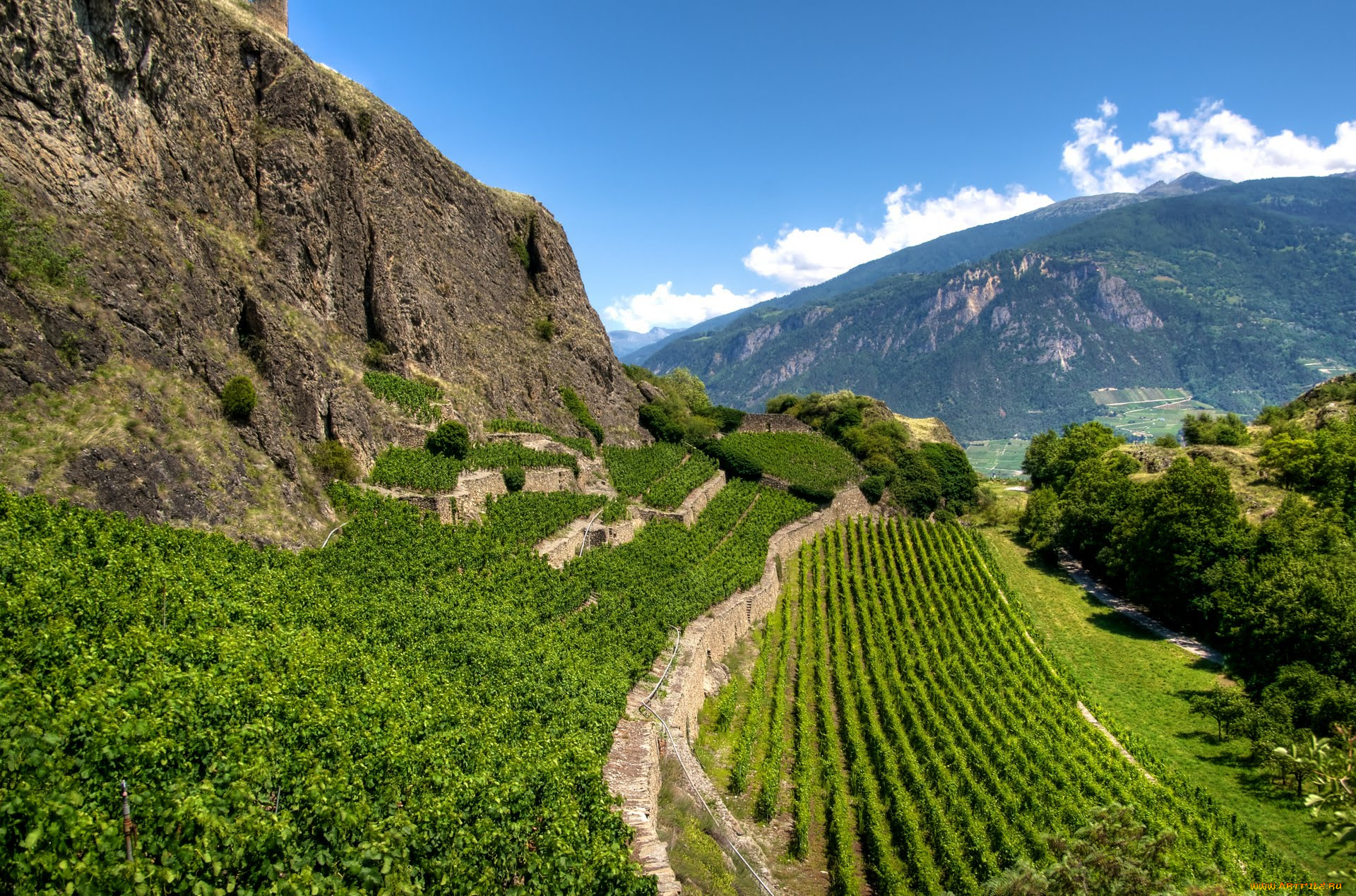 природа, поля, вале, швейцария, сьон