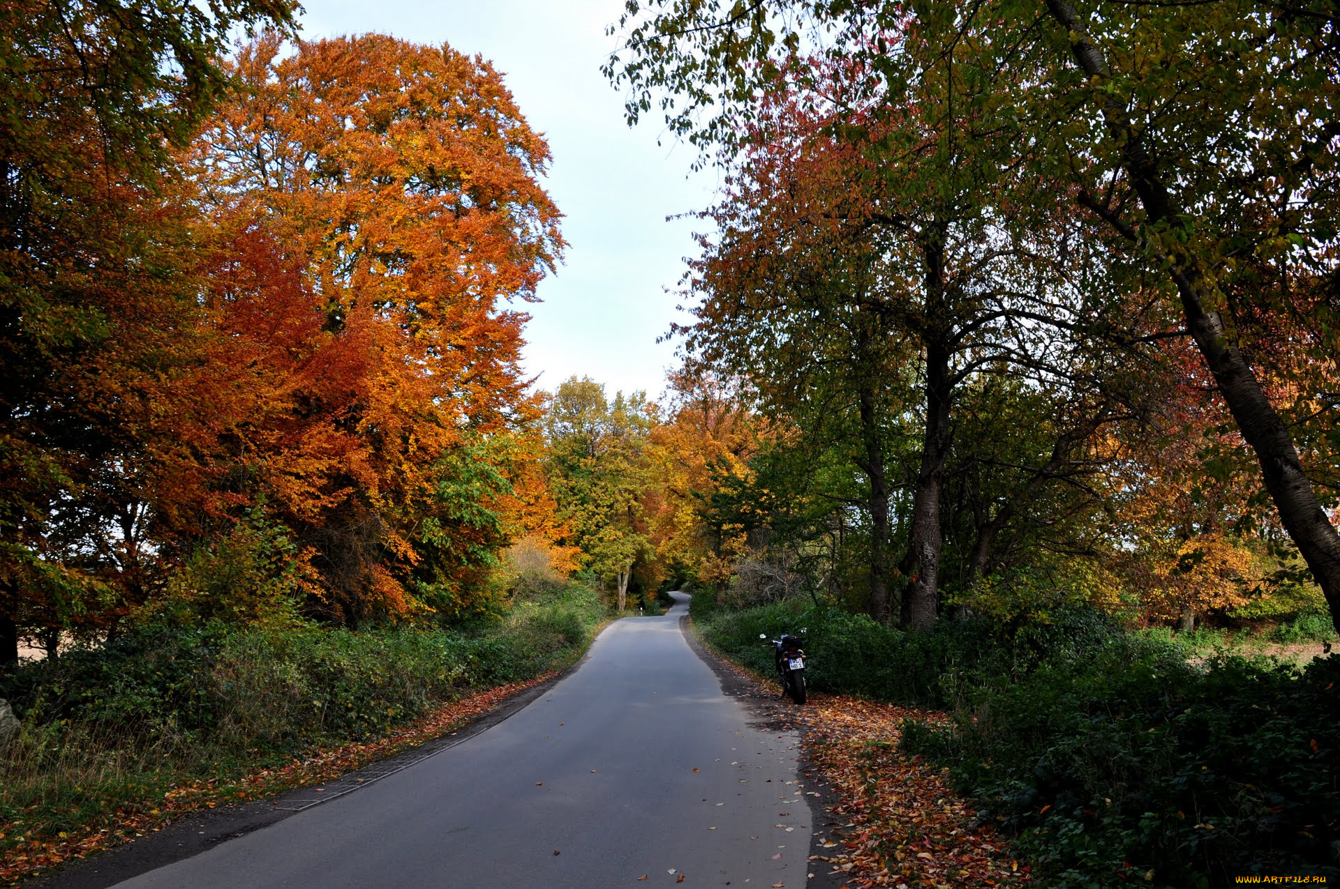 природа, дороги, осень