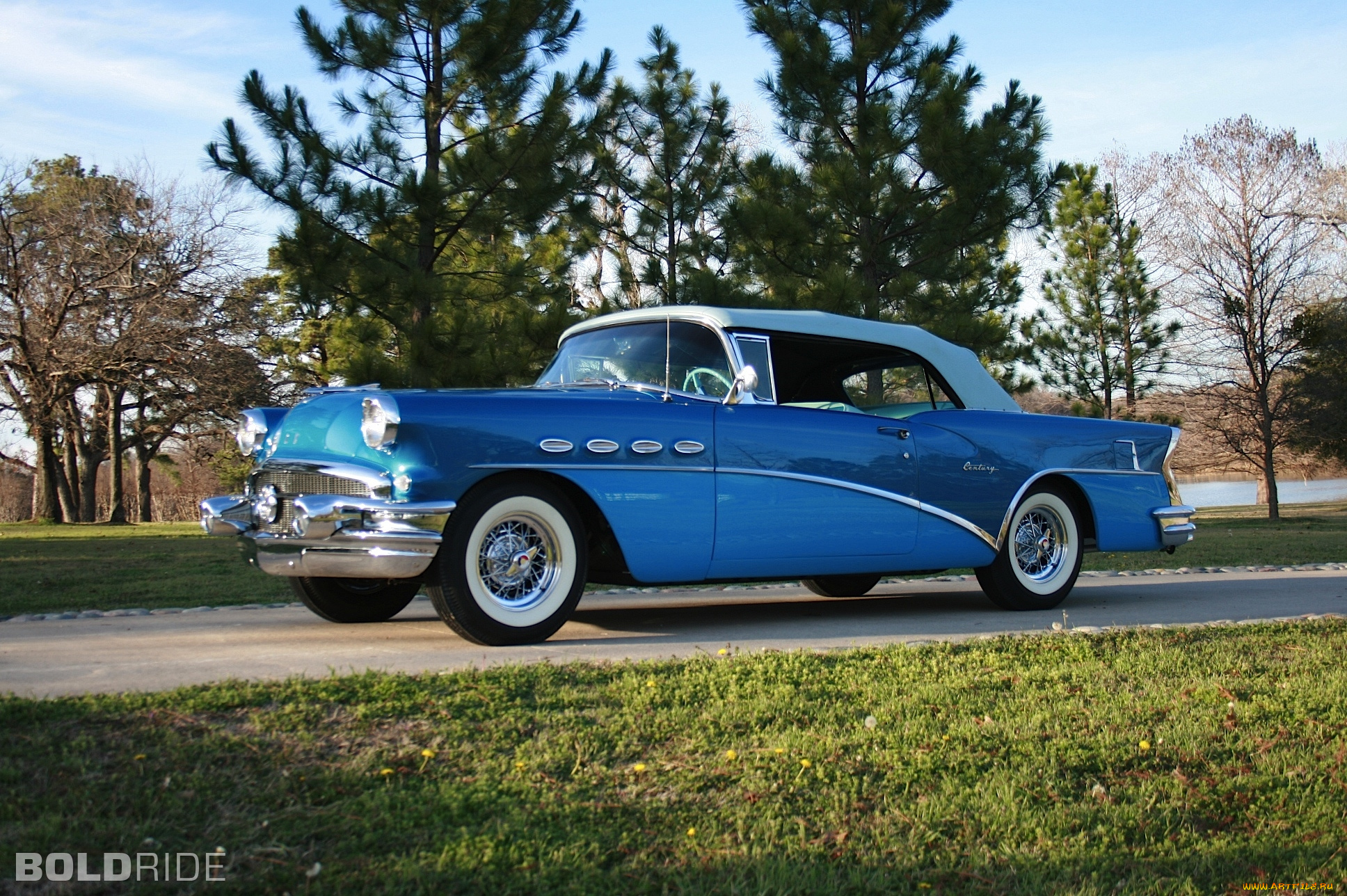 автомобили, buick, зелёный, цветы, жуки