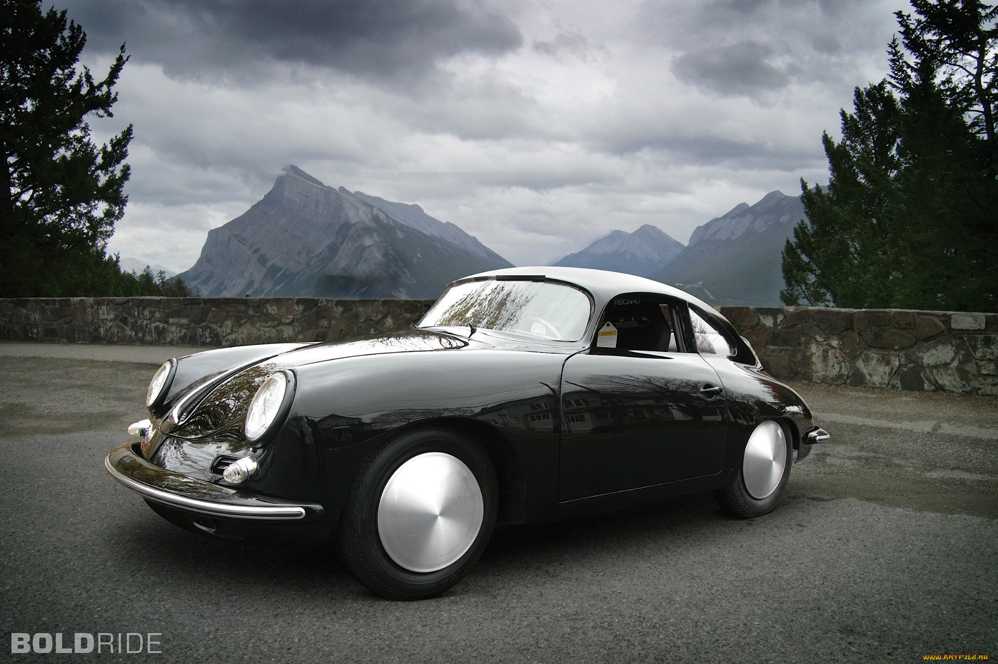 автомобили, porsche, dog, морда