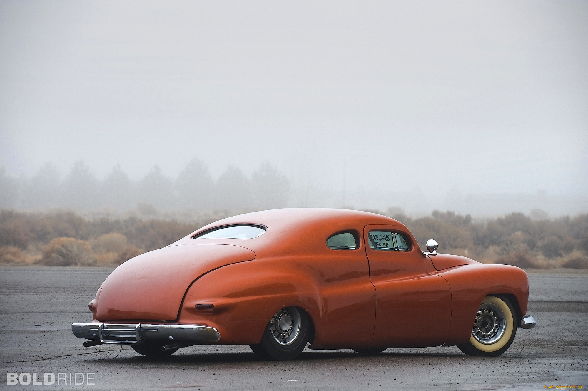 ford, custom, coupe, by, jack, stewart, автомобили, роща, березы, осень