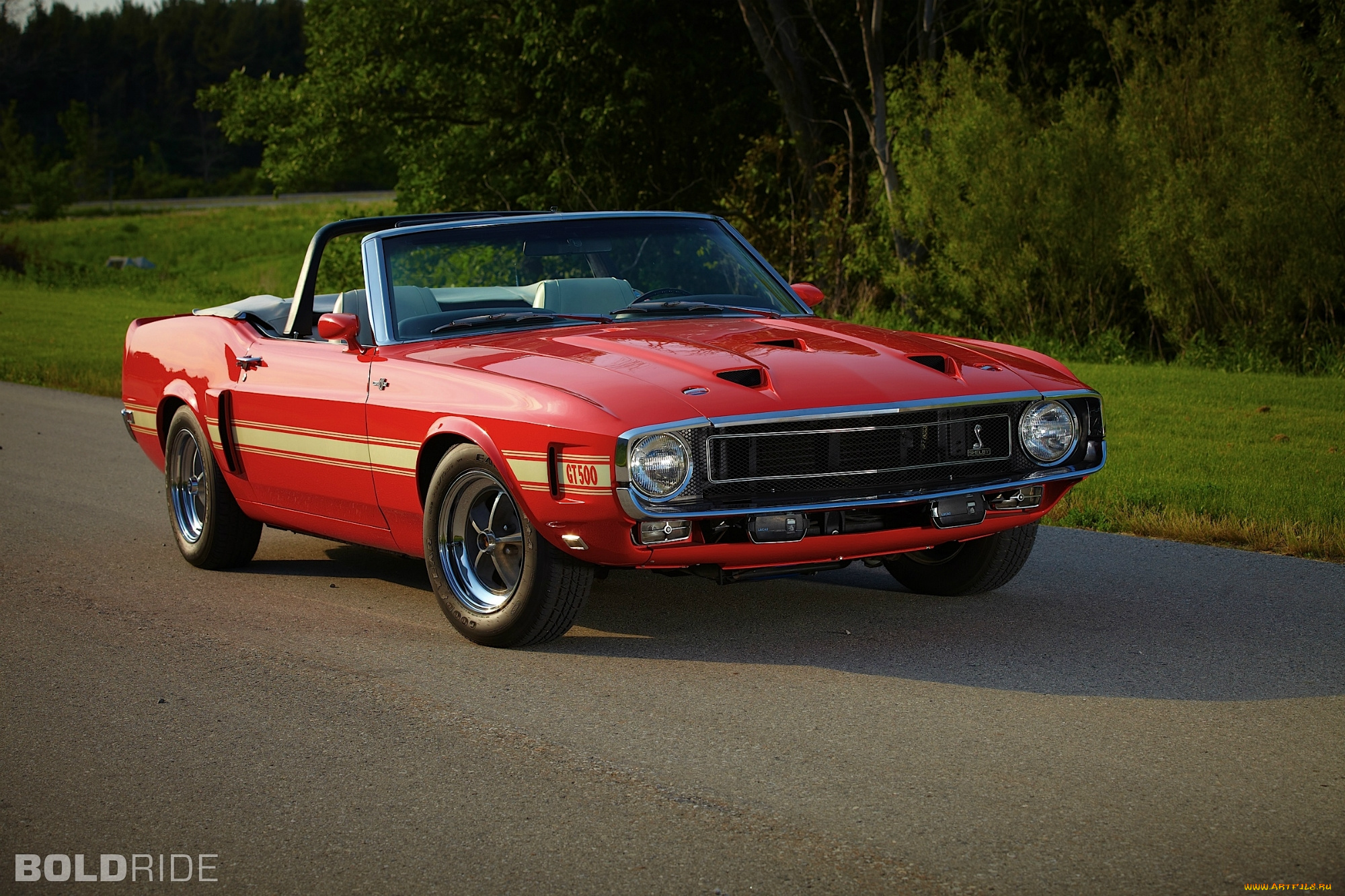 автомобили, mustang, скульптуры, деревья, водоем, ford