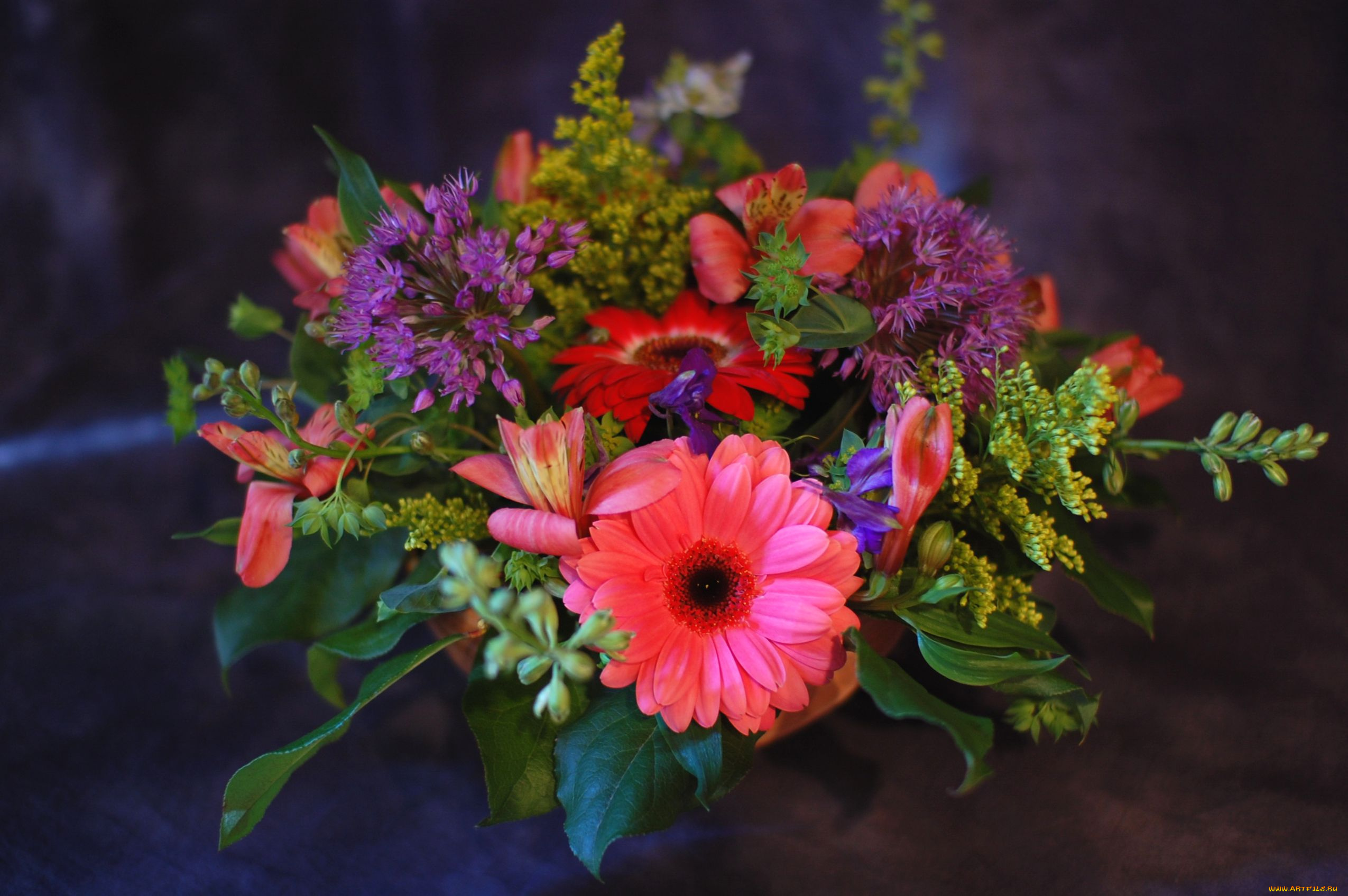 цветы, букеты, композиции, взгляд, девушка, герберы, альстромерия