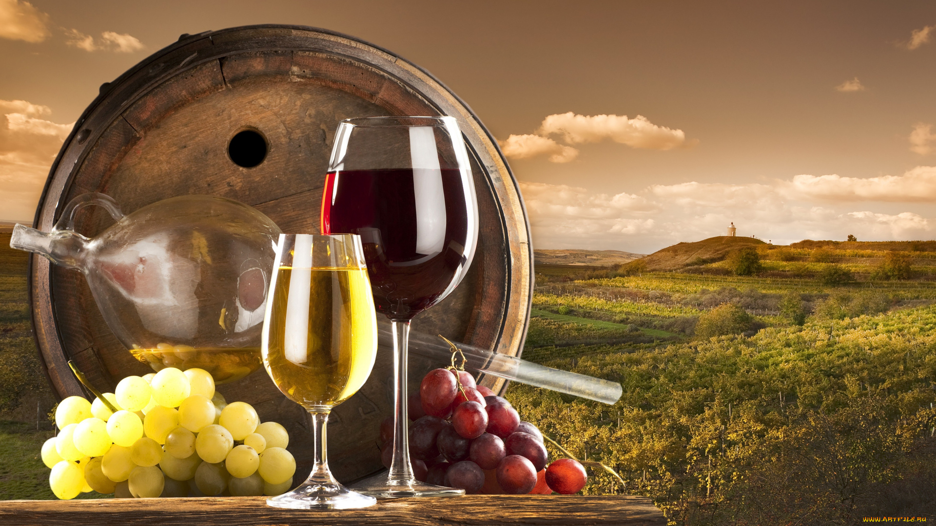 еда, напитки, вино, небо, облака, природа, бокалы, бочка, красное, белое, виноградник, виноград
