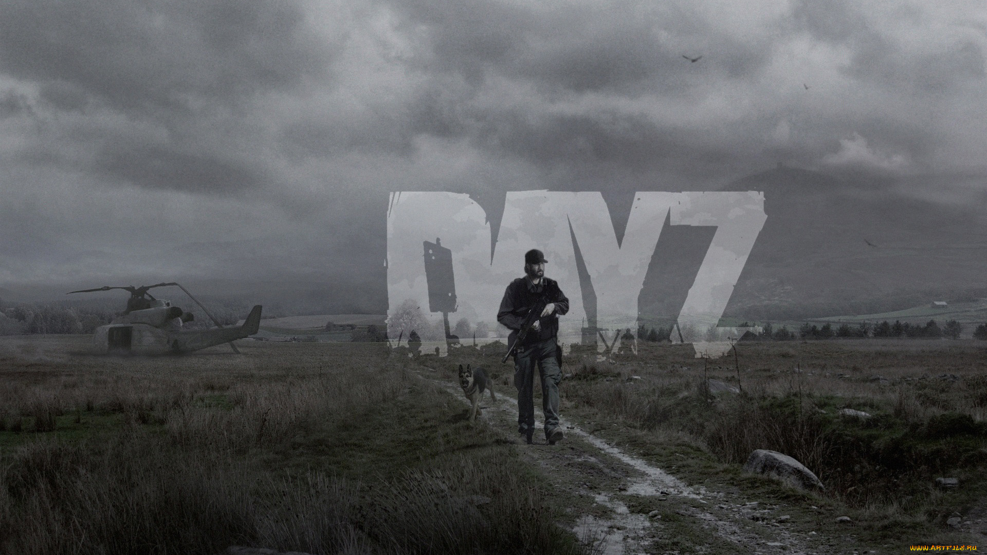 dayz, видео, игры, dayz, standalone, дорога, небо, человек, heli, crash, вертолет, собака, зомби, zombie, standalone, поле, day, z, серое