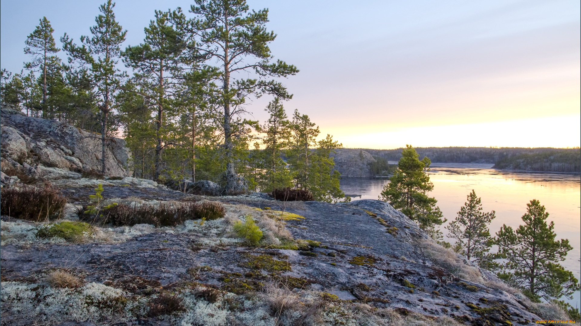 природа, реки, озера, ладога, сосны